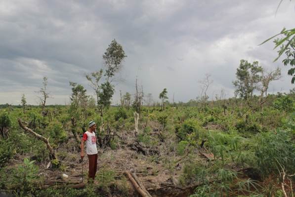 Berguru di Ladang Padi yang Terbakar